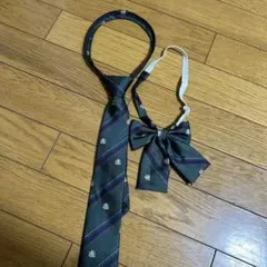 Item thumbnail for item 6f84affb-0f5e-4fce-9369-c7ec86a95795