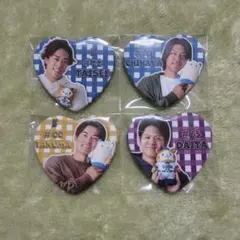 【一部バラ売り可】 ベイスターズ ラフスタイル 缶バッジ 入江大生投手 他セット