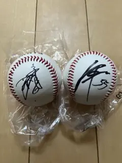 ジャイアンツ 巨人【坂本勇人・秋広優人】直筆サインボールセット非売品球 2025年最新】秋広 サインボールの人気アイテム - メルカリ