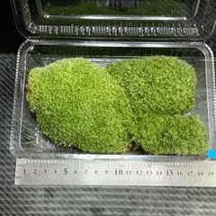 candie様 リクエスト 4点 まとめ商品