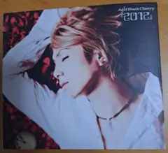 Acid Black Cherry ポンチョ クリスマス限定 激レア 81o18hK1gAL._SY200_QL15_.jpg