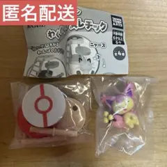 ポケモン　わくわくアスレチック　エネコ