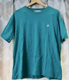 BEVERLY HILLS POLO CLUB Tシャツ グリーン Lサイズ