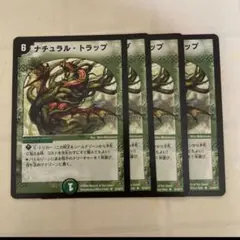 ナチュラルトラップ　旧枠