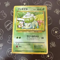【旧裏】ポケモンカード フシギダネ