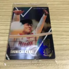 男子バレーウエハース 川合俊一