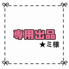 【専用出品】★ミ様