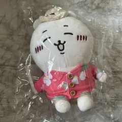 ちいかわ観光 旅行いきたいぬいぐるみs - メルカリ