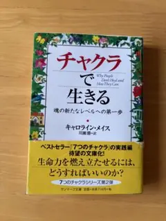 チャクラで生きる キャロライン・メイス