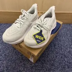 Item thumbnail for item 5077eebd-96b6-47db-951c-43b1152de6b0