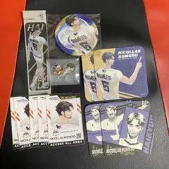 ハイキュー　ニコラスロメロ　ニコラス　ロメロ　Vリーグ