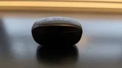 Item thumbnail for item c3e313b9-53dc-4ace-a65d-9af9b721cee1