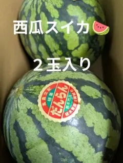 スイカ　２玉入りのサムネイル