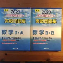 駿台 大学入学共通テスト実戦問題集 数学1A 2B　2023