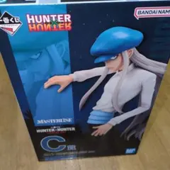 新品・未開封　HUNTER×HUNTER-カイト- ✖︎20個 HUNTER×HUNTER VIBRATION STARS-カイト-｜商品情報