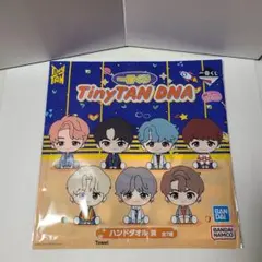 BTS Tinytan 1番くじ ハンドタオル RM