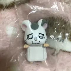 ハム太郎 くじ こうしくん ちらりんフレンズ