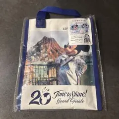 東京ディズニーシー　20周年　タイムトゥーシャイン　レジャーシート