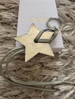 値下げ！(新品)DIOR スターチャーム キーホルダー