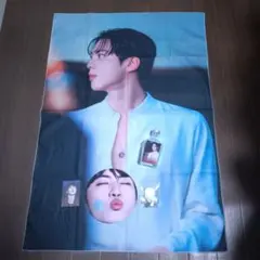 ⑨新品 BTS ジン JIN マスターさん アルバニム グッズ タペストリーほか