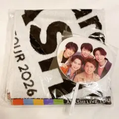 嵐 We are ARASHI グッズパンフレット クリアファイル ミニうちわ