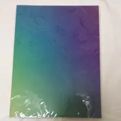 嵐 Beautiful world コンサートグッズ パンフレット