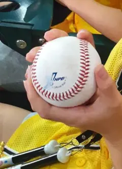 プロ野球甲子園9月26日阪神×中日ファールボール