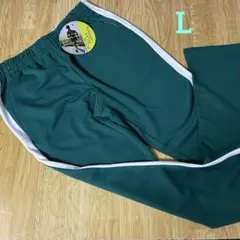 B197 active wear ジャージ ラインパンツ グリーン メンL