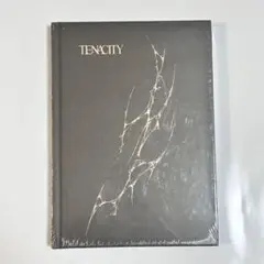 新品未開封 SF9 アルバム「TENACITY」INTEND Ver.