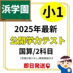 2025年度　浜学園　Vクラス　復習テスト 算数国語理科　実力〜No.39 浜学園 小6 2025年 最新版 Vクラス 復習テスト 実力〜No.39 - メルカリ