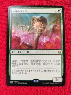 2025年最新】水蓮のコブラの人気アイテム - メルカリ