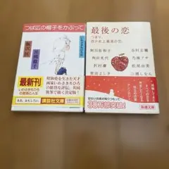 つば広の帽子をかぶって―いわさきちひろ伝、最後の恋　2冊セット