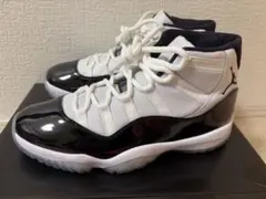 エアジョーダン11 コンコルド(2018) 28.0センチ　jordan11