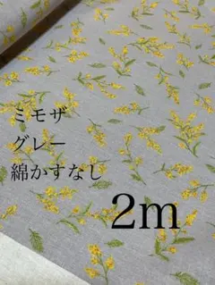 Item thumbnail for item 0fc0f6be-b56e-44c5-a7db-296e346a932c