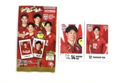 キャラポトレ　バレーボール男子日本代表　レア　石川祐希