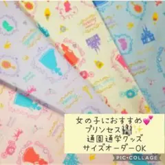 ハンドメイド通園通学グッズ♡プリンセス♡シンデレラ♡オーダーメイド