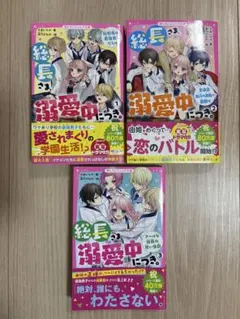 【まとめ売り】総長さま、溺愛中につき。１〜3巻
