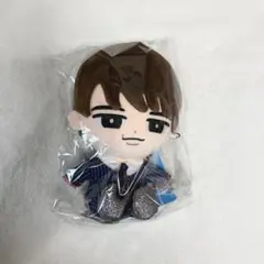 SnowMan すのチル BIG ぬいぐるみ 渡辺翔太