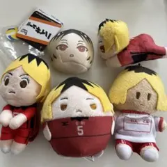 ハイキュー 孤爪研磨 ぬいぐるみ 5点セット