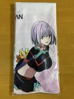 新条アカネ チアガールstyle B2タペストリー SSSS.GRIDMAN