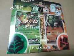 XY BREAK バトル強化セット 草/闘 リーフィア ゴローニャ EX 未開封