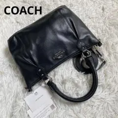 極美品 COACH アシュレイ ミニボストン 2way 黒 A4収納 レザー - メルカリ