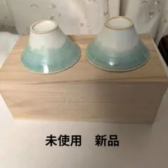 Floyd 陶器製お猪口 2個セット 木箱入り