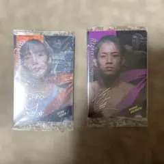 Item thumbnail for item d5aa0df5-671e-4cb7-9d2e-ef4cd5143fd8