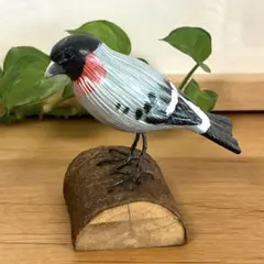 ボルチモアムクドリモドキ 野鳥 木彫り バードカービング 木製彫刻