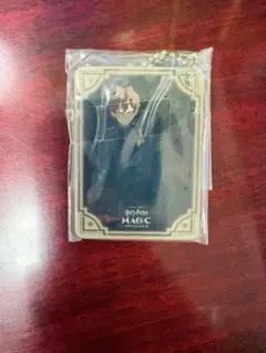 ハリー・ポッター 魔法の覚醒 アクリルチャーム(ガチャガチャ) デザインD