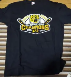 Item thumbnail for item 4deb4cf9-8169-4642-9ae2-32ee24130b6e