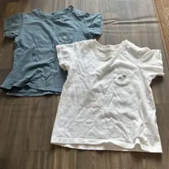 Item thumbnail for item 2afbe678-2232-46b9-b648-7cb0bd698a77