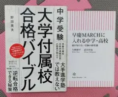 Item thumbnail for item 7d44b5fe-a6a6-4b70-88a8-1b5f23a6e822