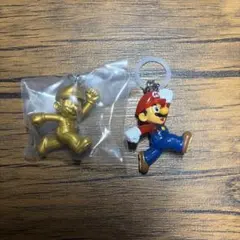マリオ　めじるしアクセサリー　シークレット